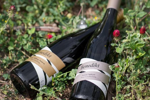 aktuelles benedikt weine kirchberg am wagram
