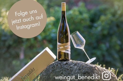 Insta Newsletter und Facebook Posting Quer.jpg